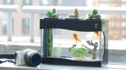 Chuyên Gia Phong Thuỷ điểm Tên Những đồ Vật Không Nên Bày Trong Phong Ngủ