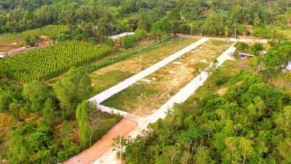 Có được Xây Nhà Tạm Trên đất Trồng Cây Lâu Năm Không?