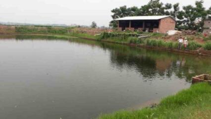 Đất Ao Có Tách Thửa được Không?