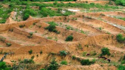 Năm 2023, Sử Dụng đất Khai Hoang Có Bị Thu Hồi Không?