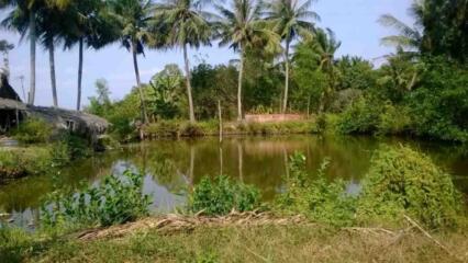 Xây Nhà Trên đất Ao Có Bị Phạt Không? [Quy định Mới Nhất 2023]