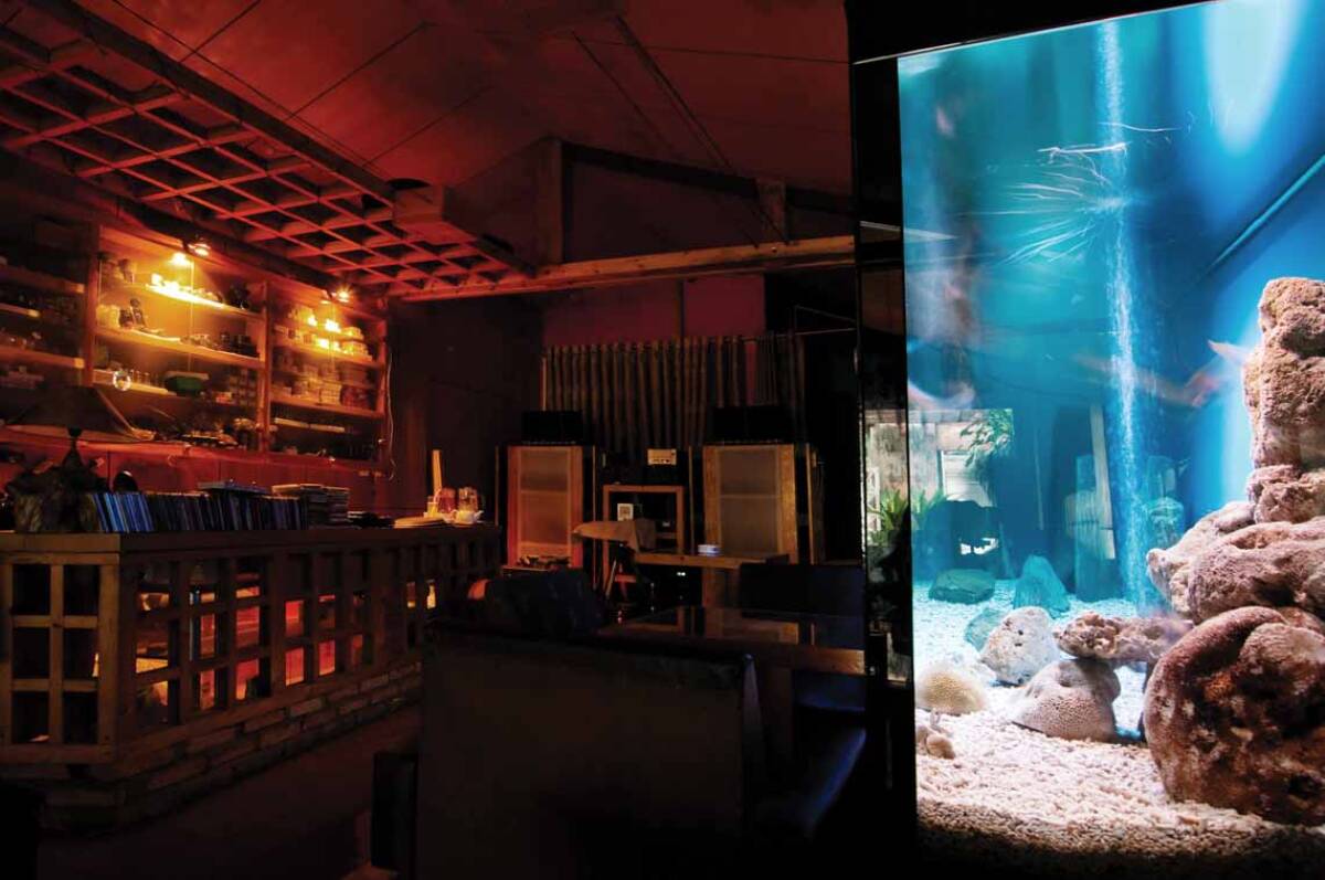 Cách Bài Trí Căn Hộ đúng Phong Thủy để được Nghe đúng, Nhìn đẹp