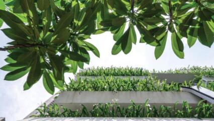 Chống Nóng Nhờ đóng Và Mở Theo Phong Thủy