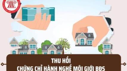 Chứng Chỉ Môi Giới Bất động Sản Bị Thu Hồi Khi Nào? Bao Lâu Thì được Cấp Lại Chứng Chỉ Môi Giới Bất động Sản?