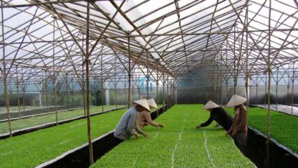 Năm 2023, đất Nông Nghiệp Khác Có Chuyển Nhượng được Không?