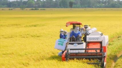 Người Dân Bị Thu Hồi đất Nông Nghiệp Có được Tái định Cư Không?