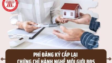 Phí đăng Ký Cấp Lại Chứng Chỉ Hành Nghề Môi Giới Bất động Sản Là Bao Nhiêu? Hồ Sơ Xin Cấp Lại Gồm Những Gì?